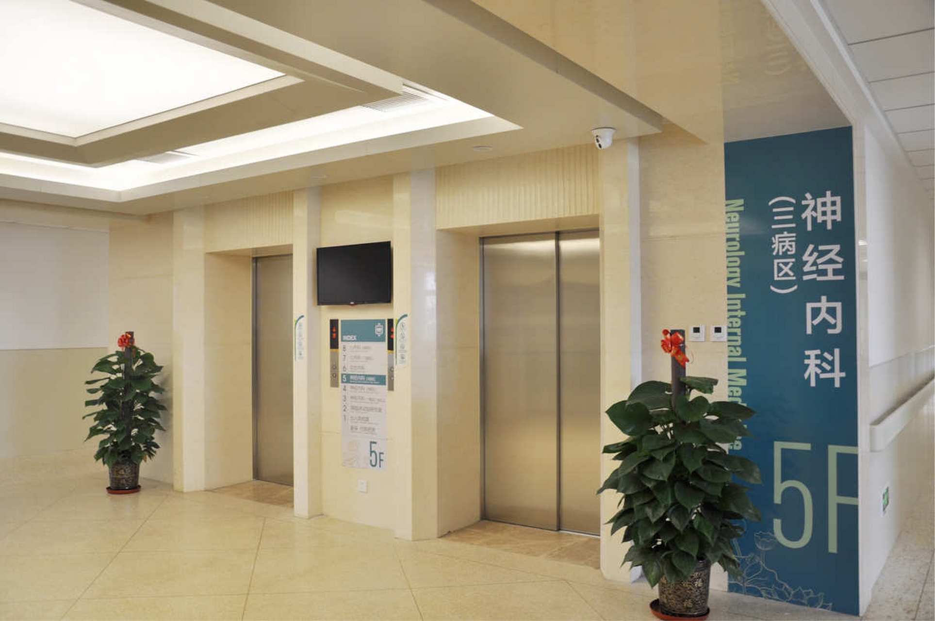 【痫病是否能彻底治好】"选择治疗癫痫的科室:神经内科还是神经外科?