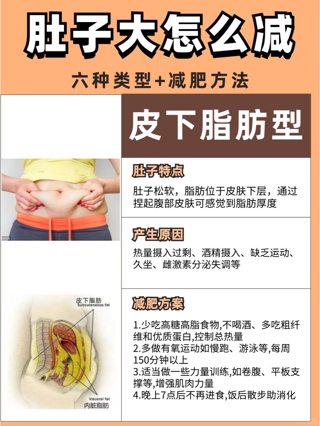 为什么一胖就胖肚子怎么回事为什么在线 为什么一胖就胖肚子怎么回事为什么在线