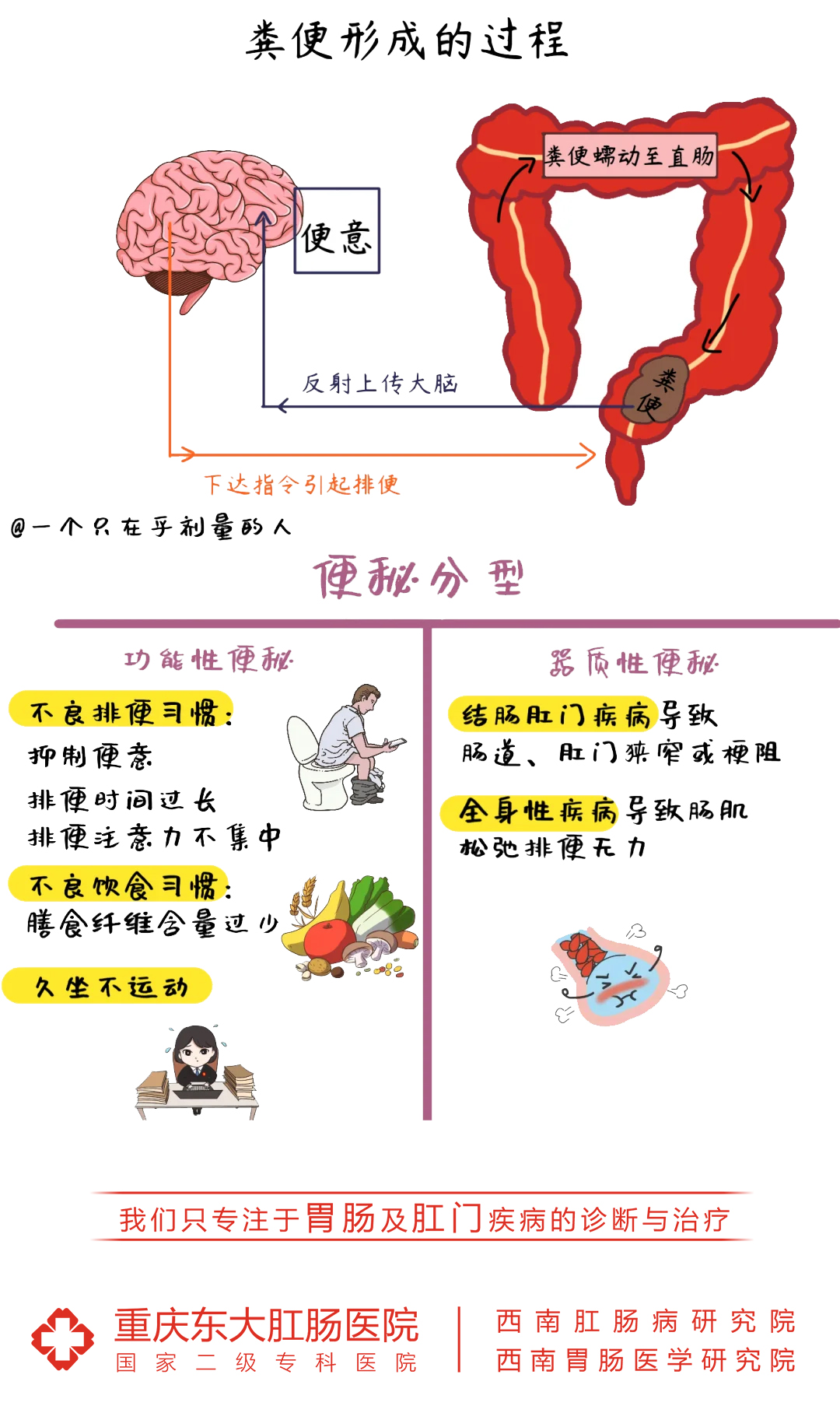 别一便秘就只知道吃香蕉便秘分两种警惕器质性便秘比如肠道肿瘤肠