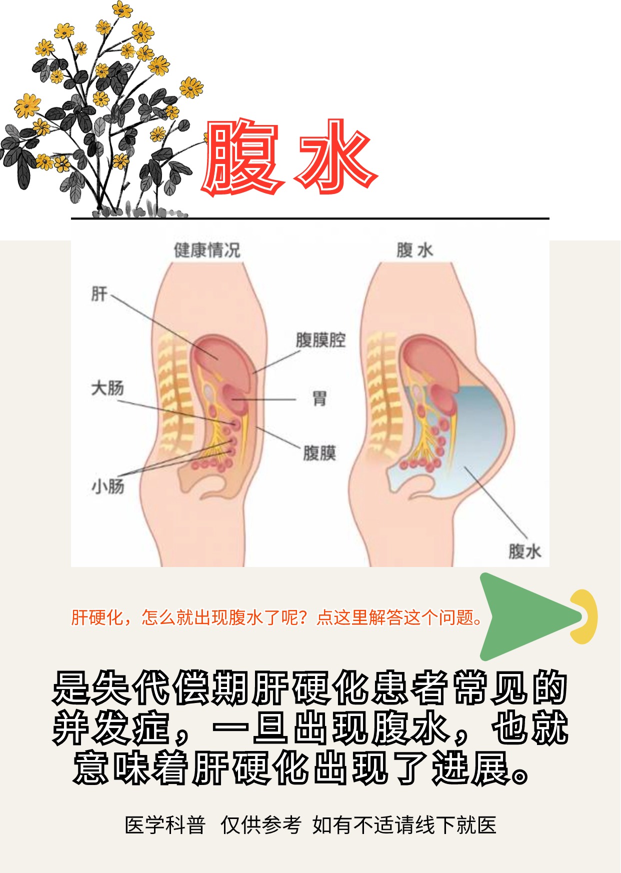 肚子变大瞬间灌水图片