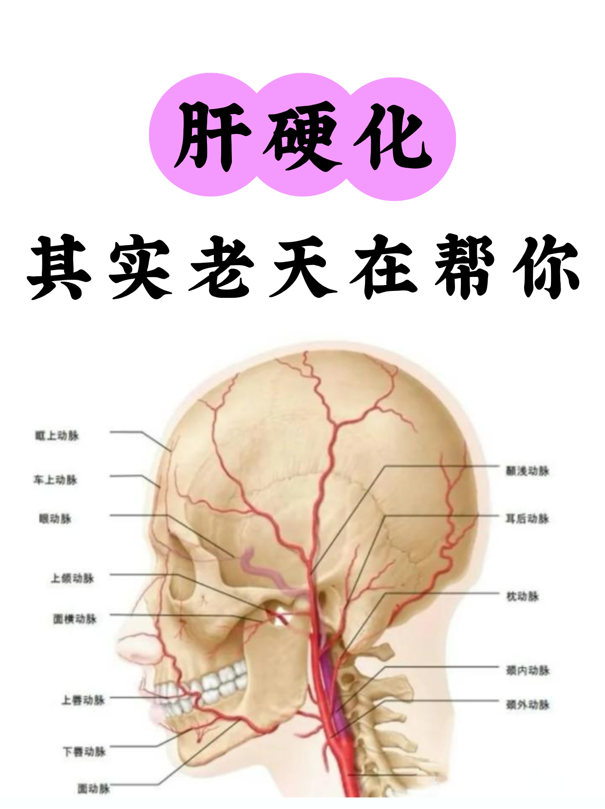 包含地坛医院老年人看病代挂号出院后复查提醒，持续关注康复的词条