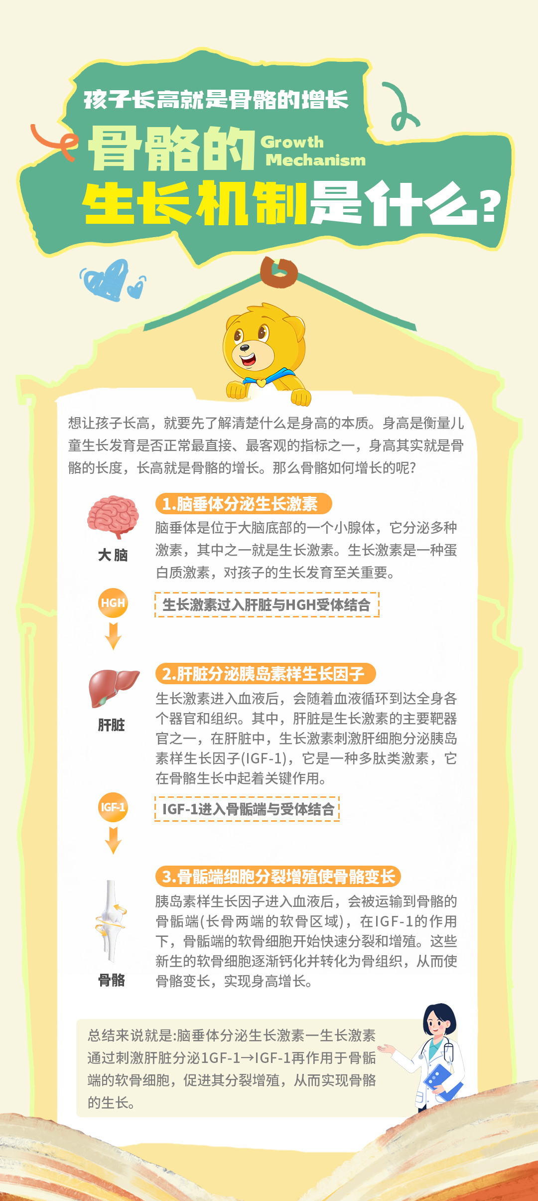 脑垂体分泌生长激素是整个骨骼生长过程的起点,如果生长激素分泌不足