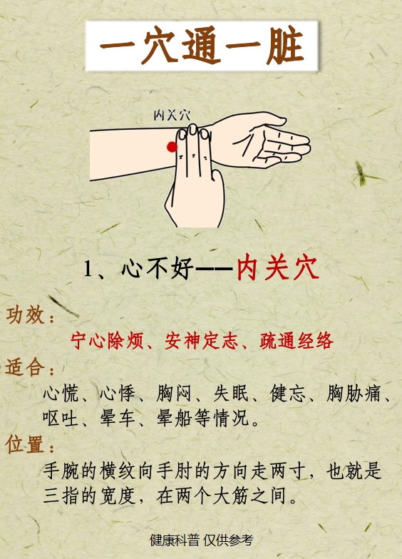 一穴通一脏,从头到脚,轻松调和,重塑健康体魄!