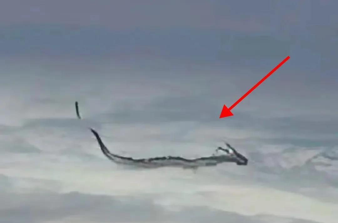 今年夏天有大事!大家快看!