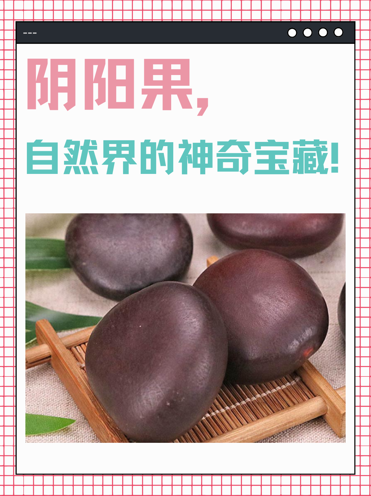 阴阳果,神奇的功效你知道多少?