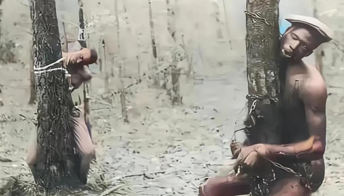 1864年的美国,两名种植园黑人奴隶因为偷吃东西被赤身裸体捆在树上