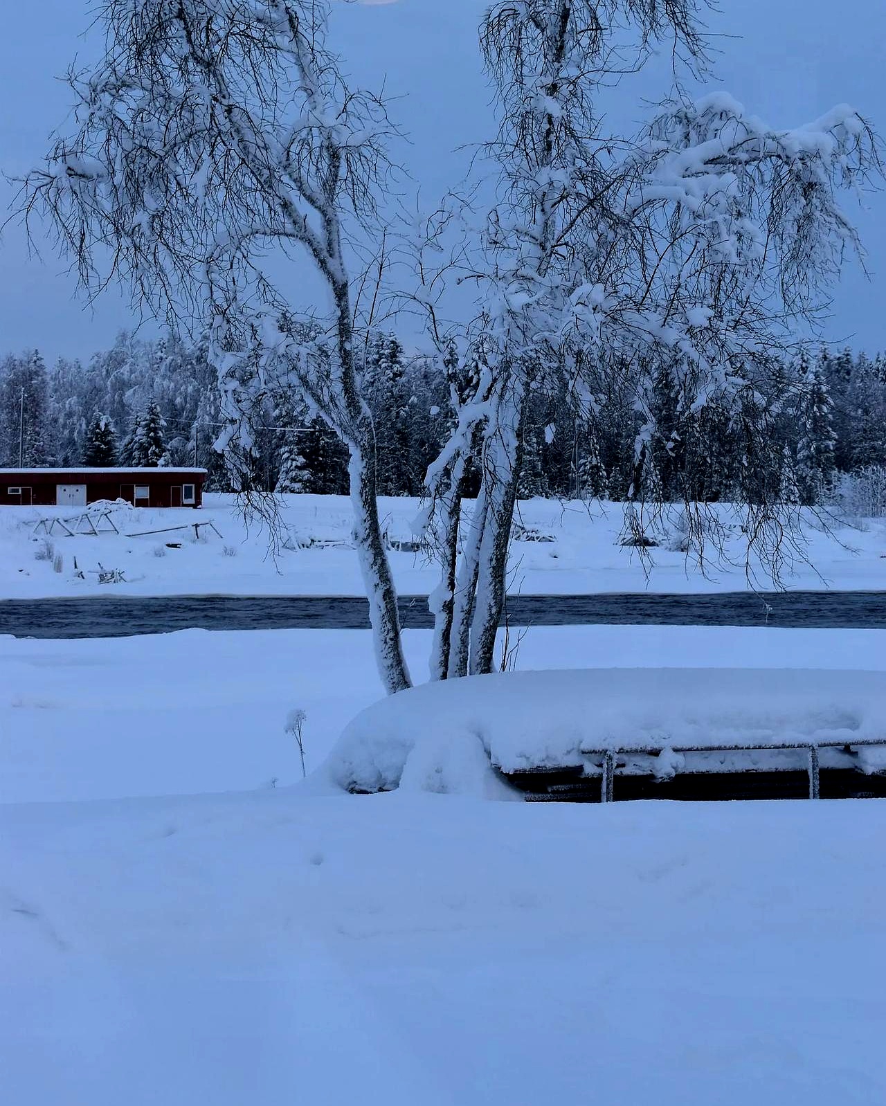 那天白天还是个大晴天暖洋洋的没一点风云也没人预警啥雪来了