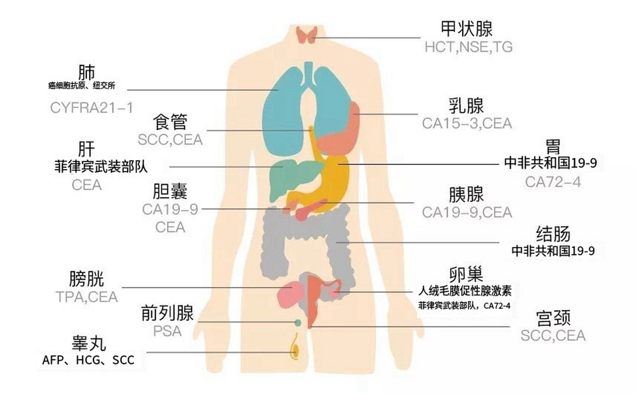 肿瘤标志物一览表!#肿瘤