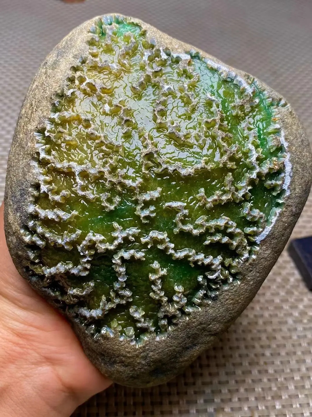 点击头像看直播# #翡翠原石#翡翠原石的表面,有着独特的光泽,那是