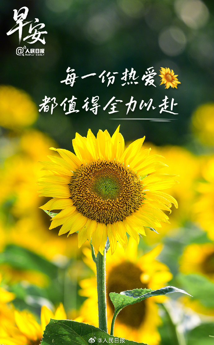 好公民# 【每一份热爱,都值得你全力以赴】只要是内心真正喜欢的事,就