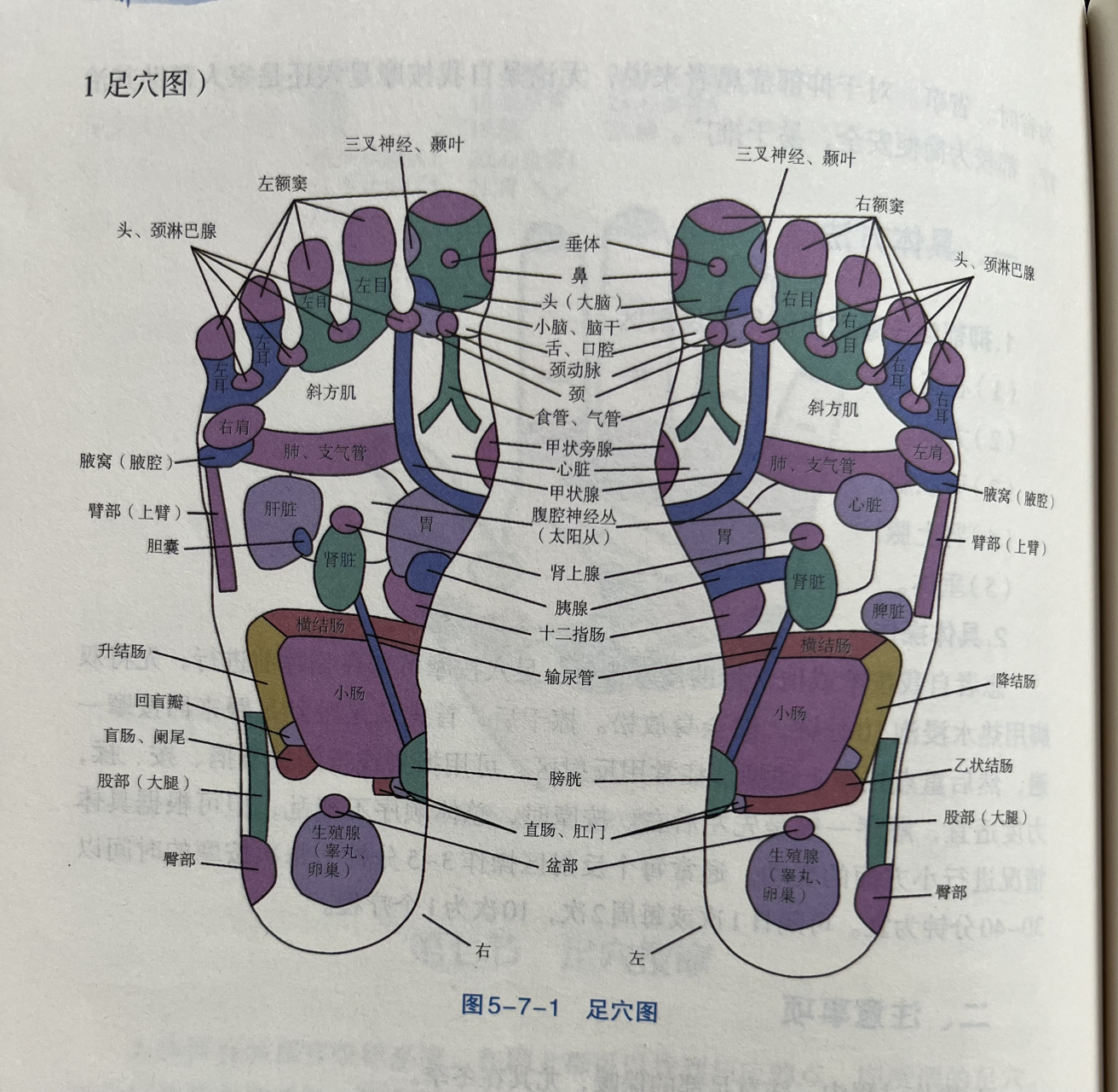 脚诊康复法示意图大图图片