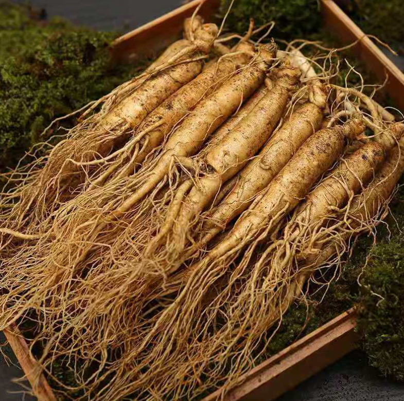 孩子孤独症,人参不可或缺,学会5种搭配,大补元气