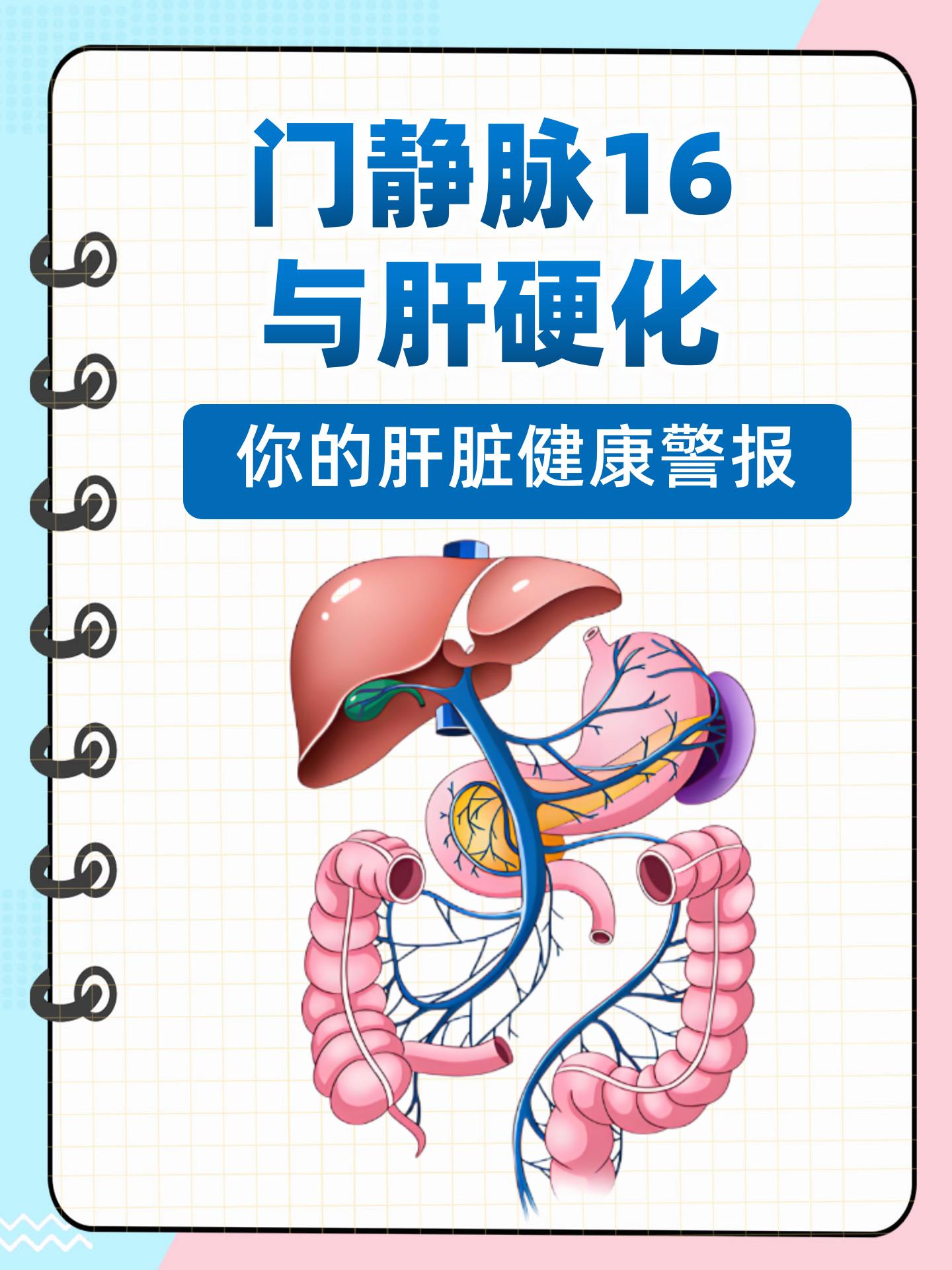 门脉性肝硬化10×10图片