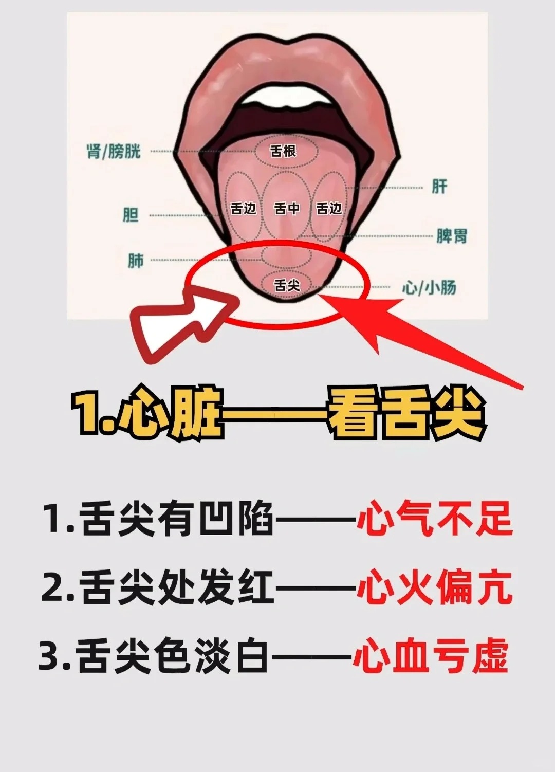 眼之所以能明视万物,辨别五色,完全依赖于脏腑通过全身经络将精,气
