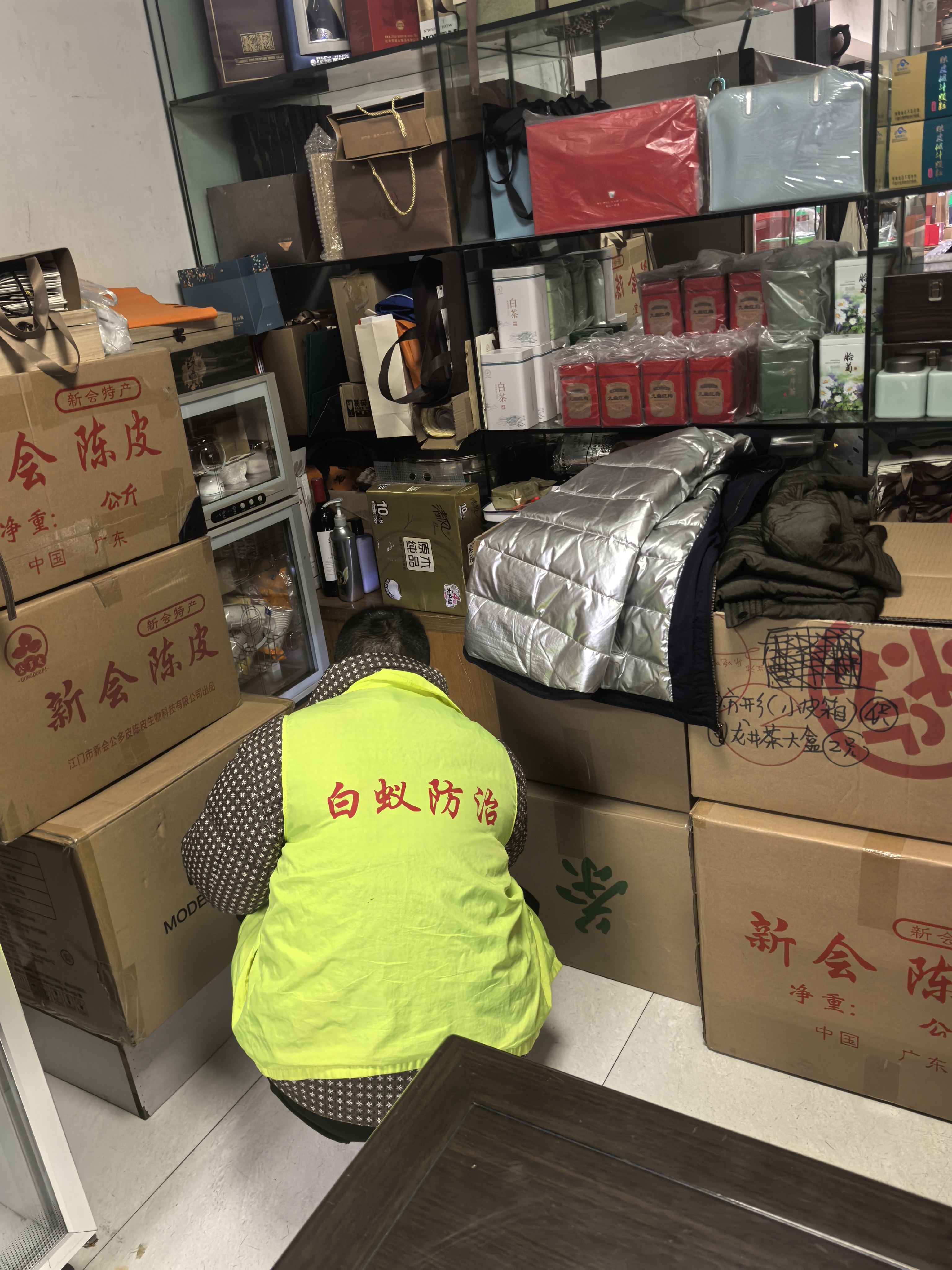 浦口区的朋友们遇到白蚁困扰时最头疼的就是找不到靠谱的防治团队