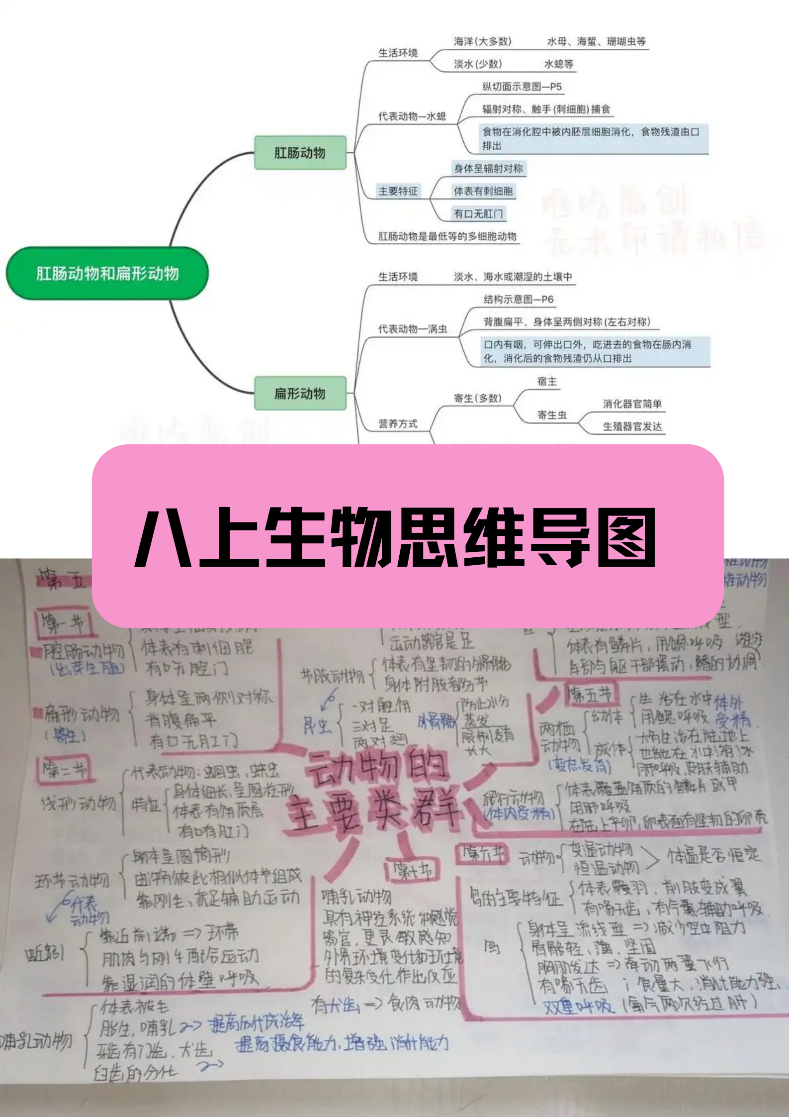 八种思维导图基本图片