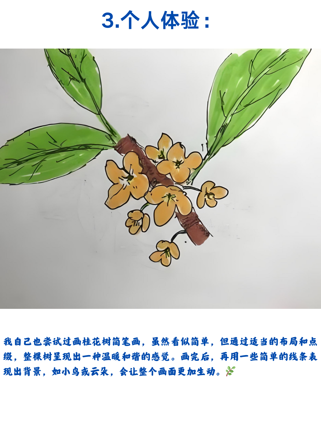 桂花树简笔画是一种非常受欢迎的简易绘画形式,通过