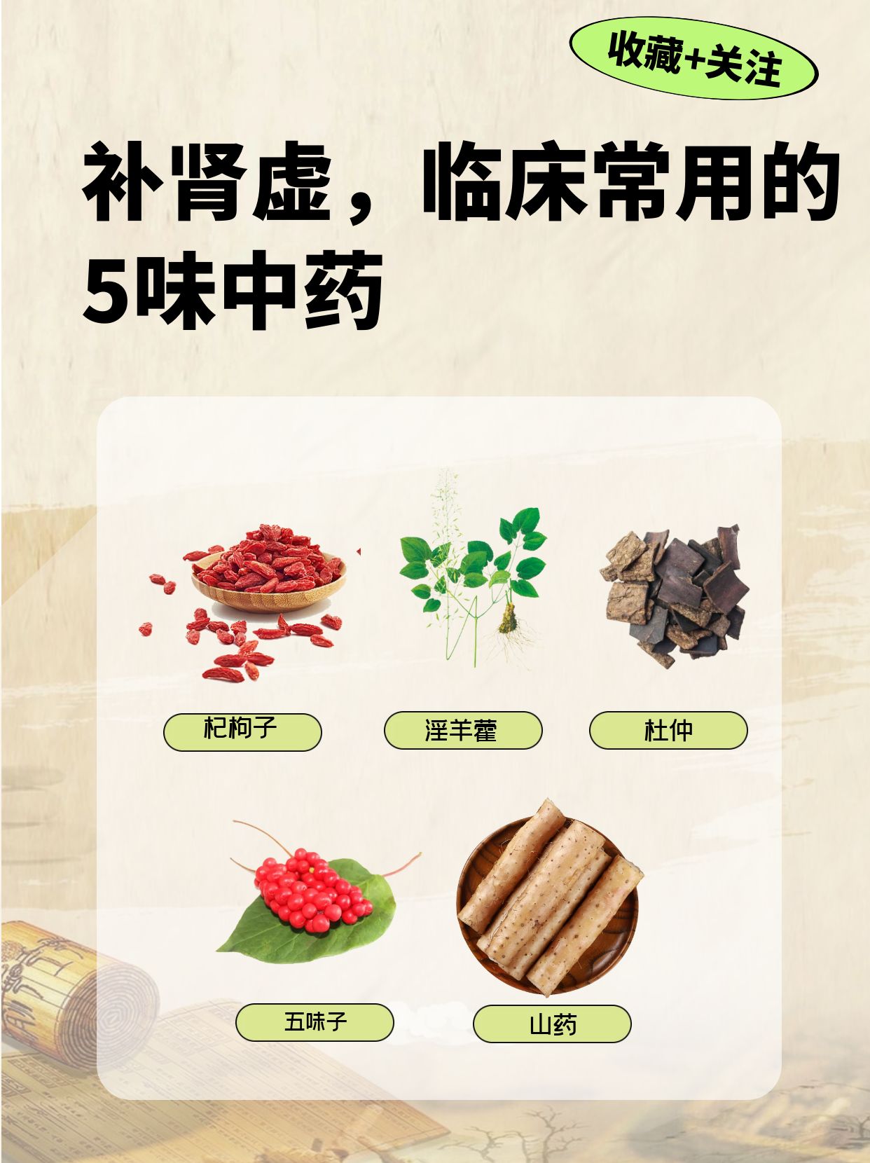 是肾阳虚还是肾阴虚,再对症下,如热象不明显的补肾补虚补肾中药补肾