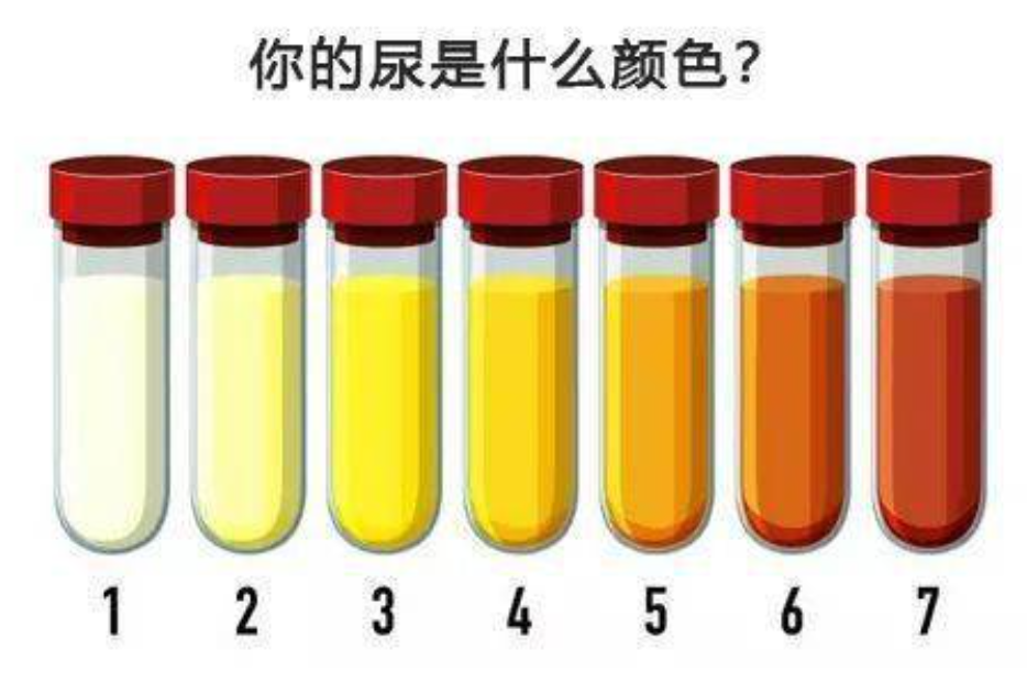 说明存在轻度脱水了,及时补水