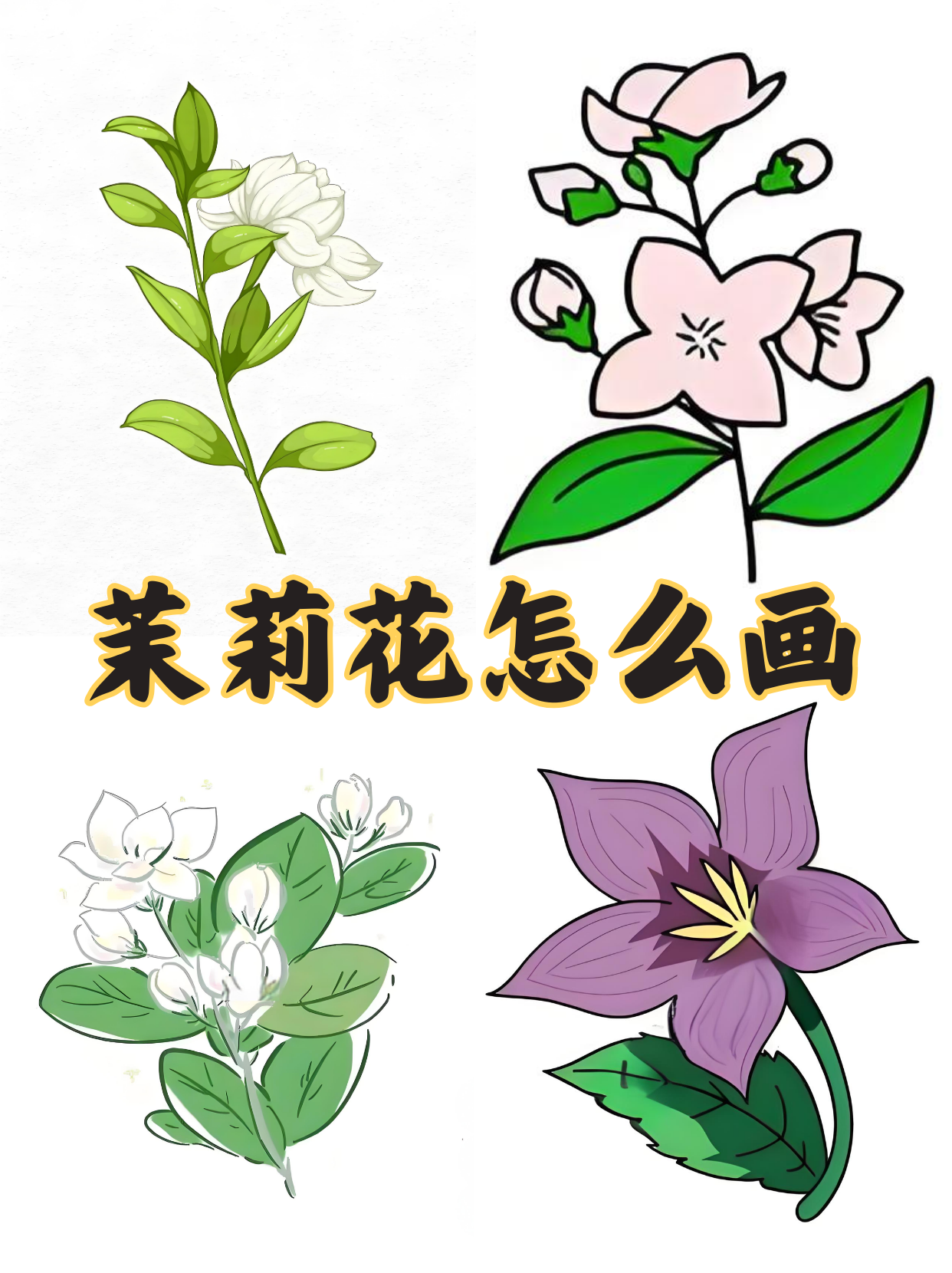 茉莉花的画法简笔画图片