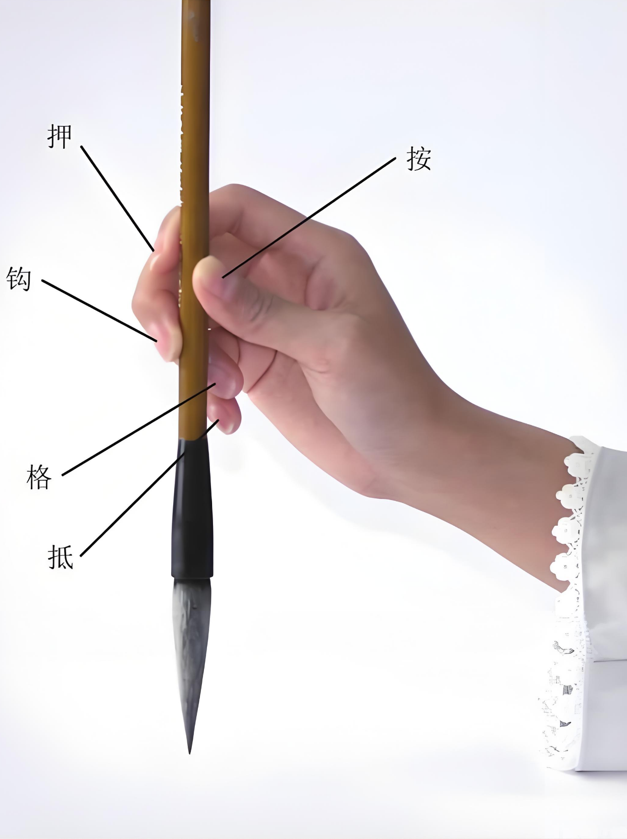 正确的握笔姿势不仅能够帮助我们更好地控制笔触,表达出细腻的线条