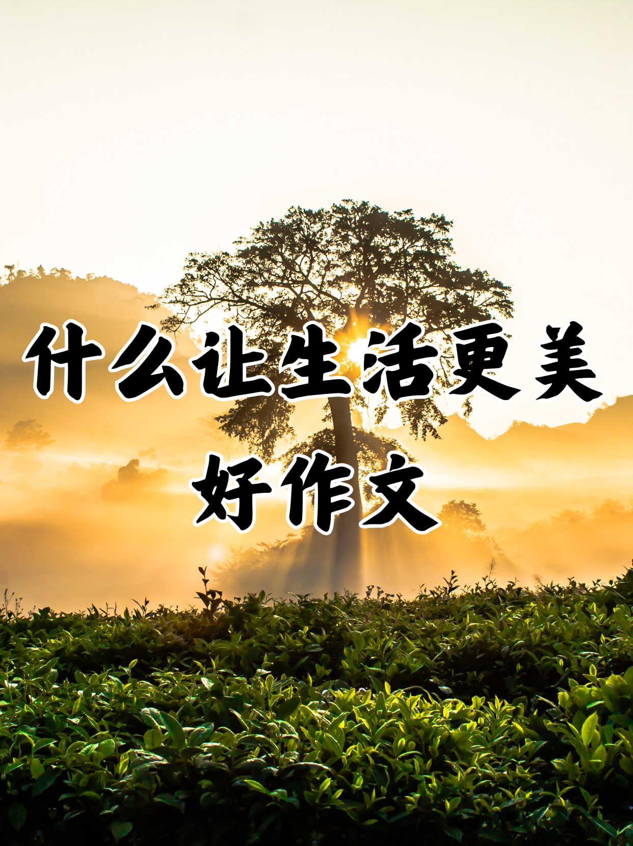 什么让生活更美好  生活是由无数个瞬间组成的