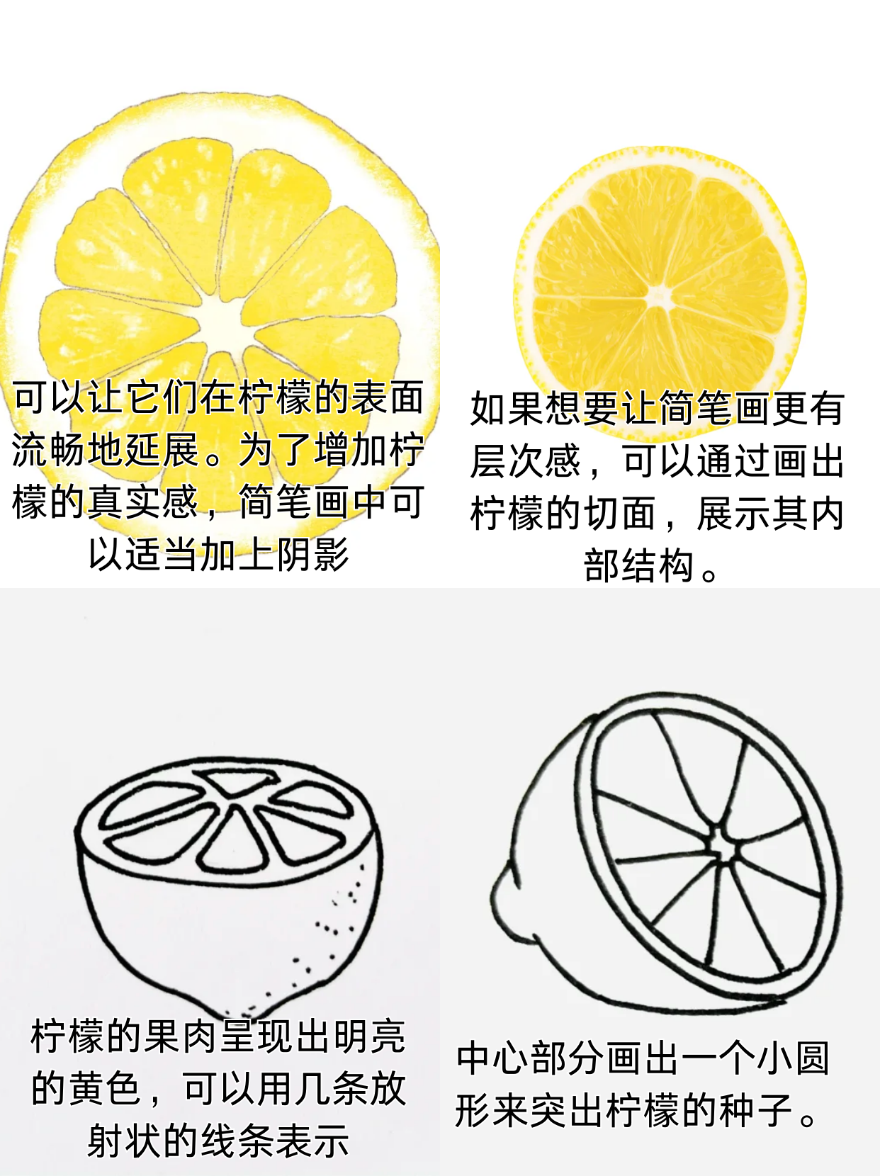 柠檬简笔画 幼儿图片