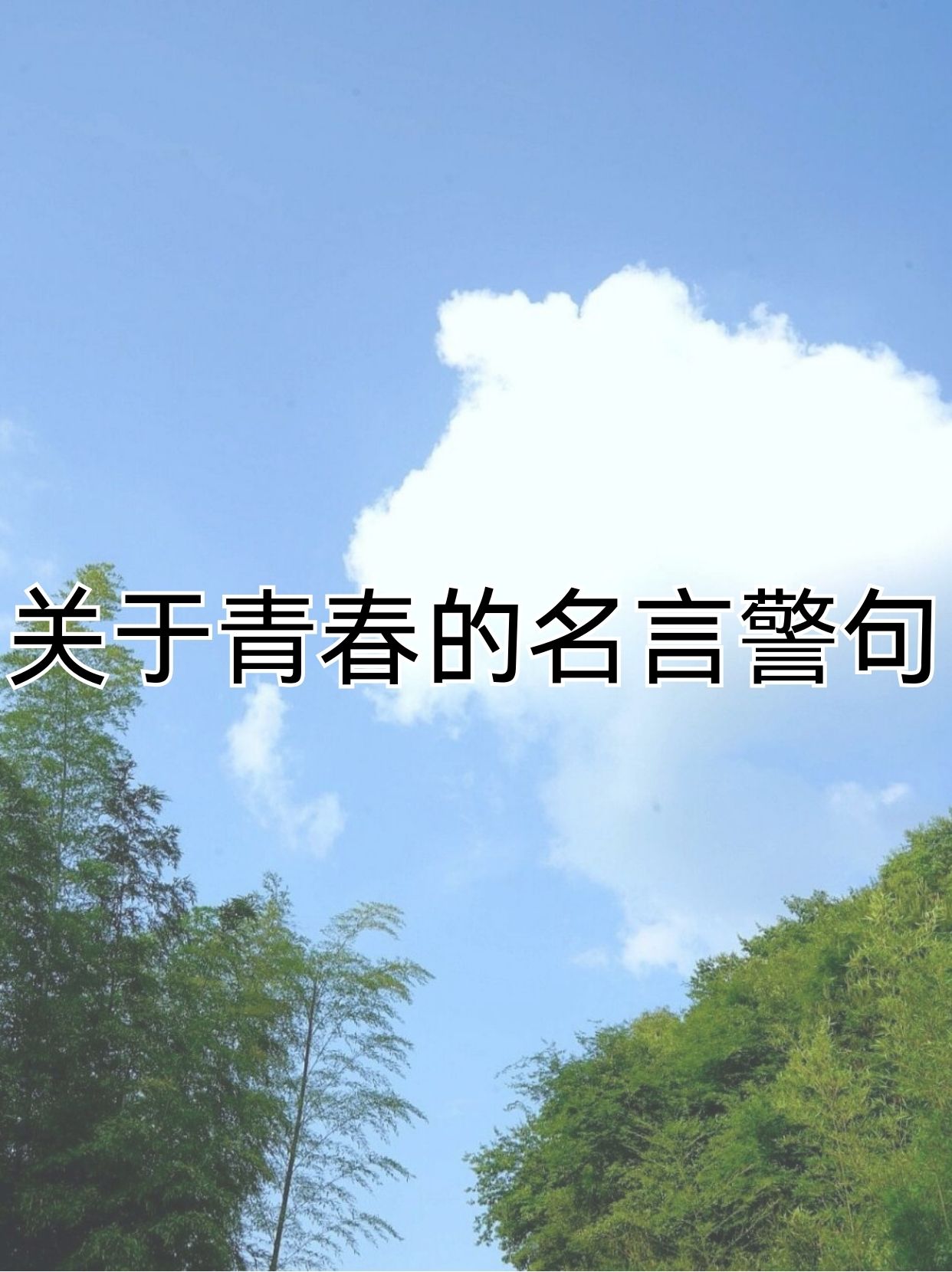 励志名言名句大全带作者(励志名言名句大全201912129355阅读)