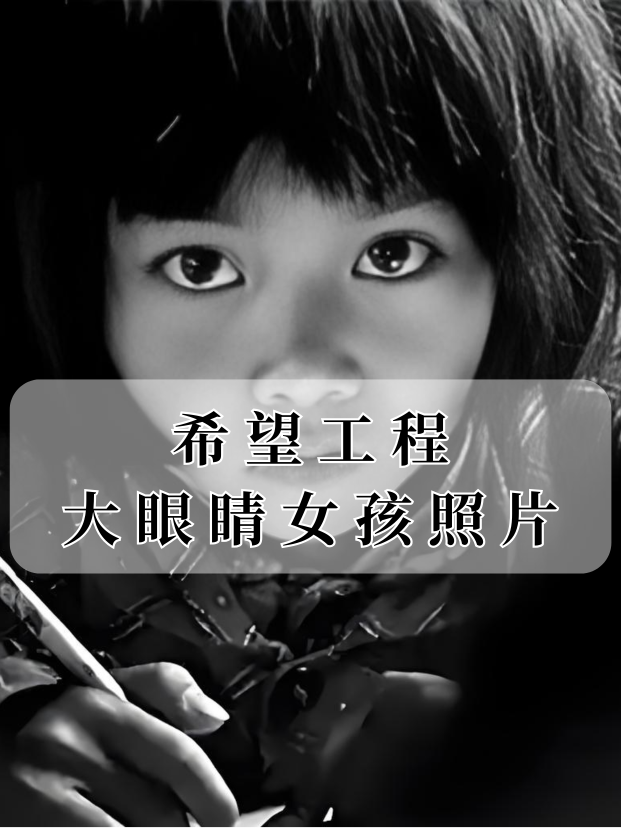 希望工程大眼睛女孩照片