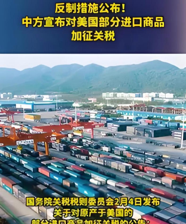 包含美阻止中国进入美国及盟国市场的词条