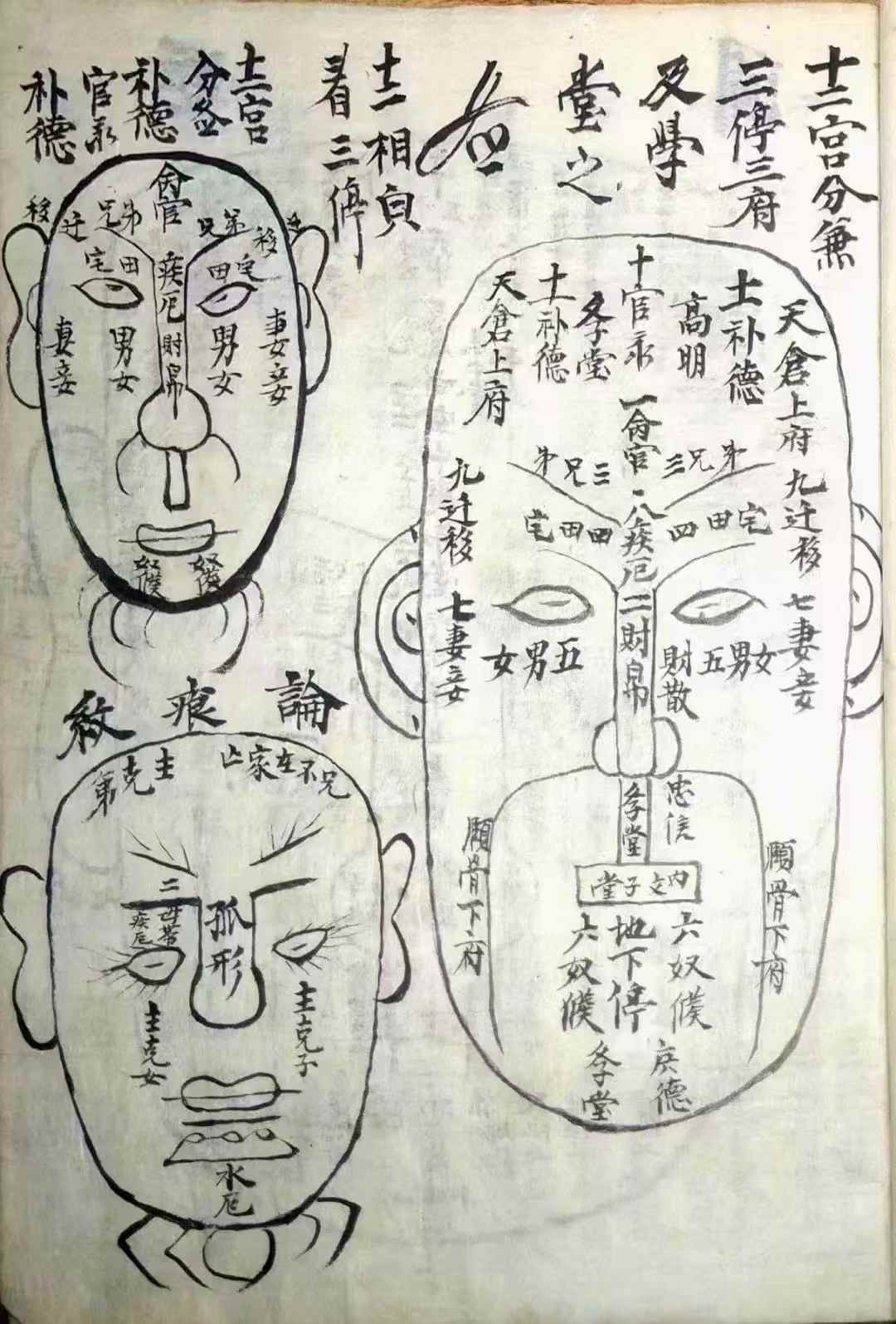 内容包括:十三部位总图歌,流年运气部,十二部位总要,论形,相骨,相肉