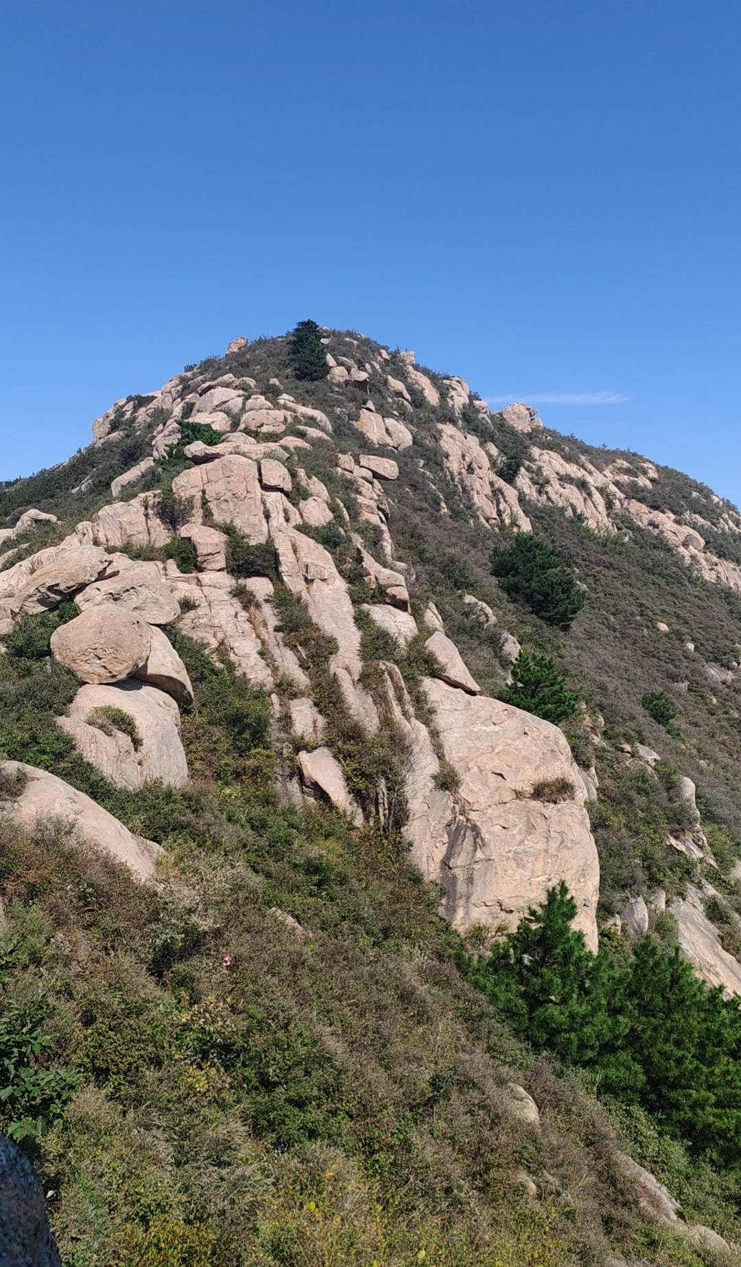 前夫车祸去世了,留下一个女儿,和这个丈夫又生了一个儿子