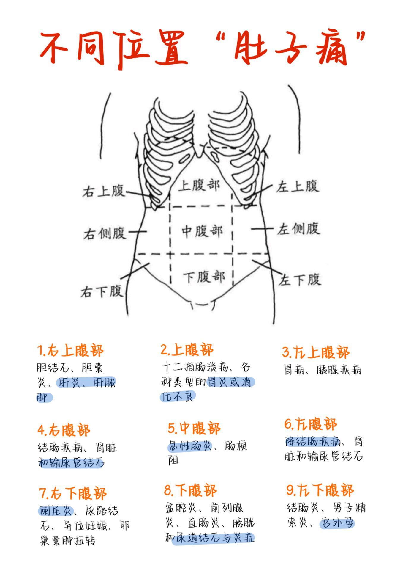 腹部疼痛9位置图女图片