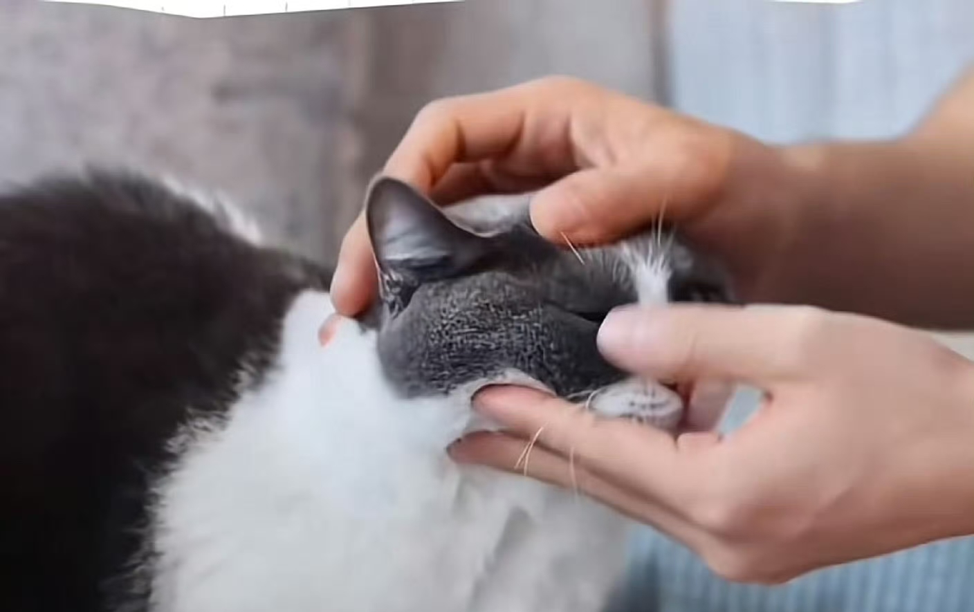 肖战这个人帮别人擦眼睛的习惯,估计是改不了了!