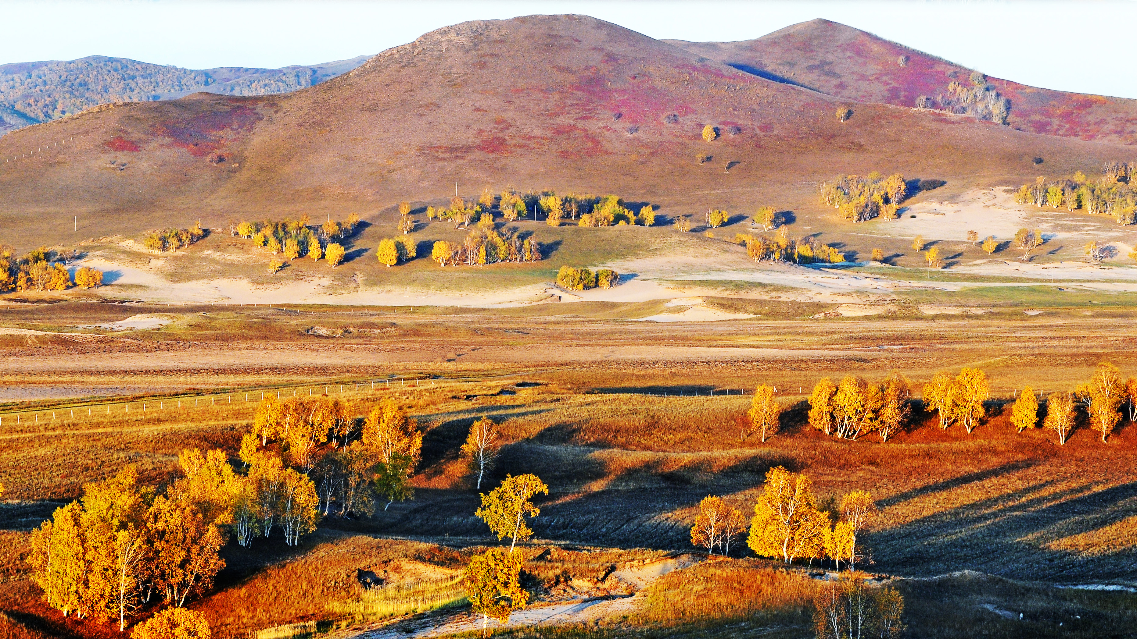 深秋时节,塞罕坝林场宛如一幅绚丽
