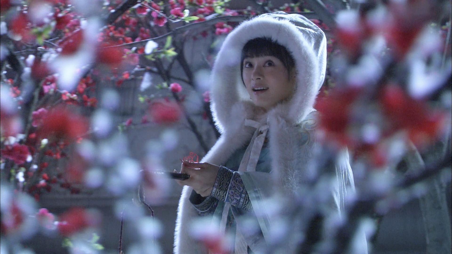 这是一句关于冬天的诗. 也曾经通过甄嬛将它吟诵而出