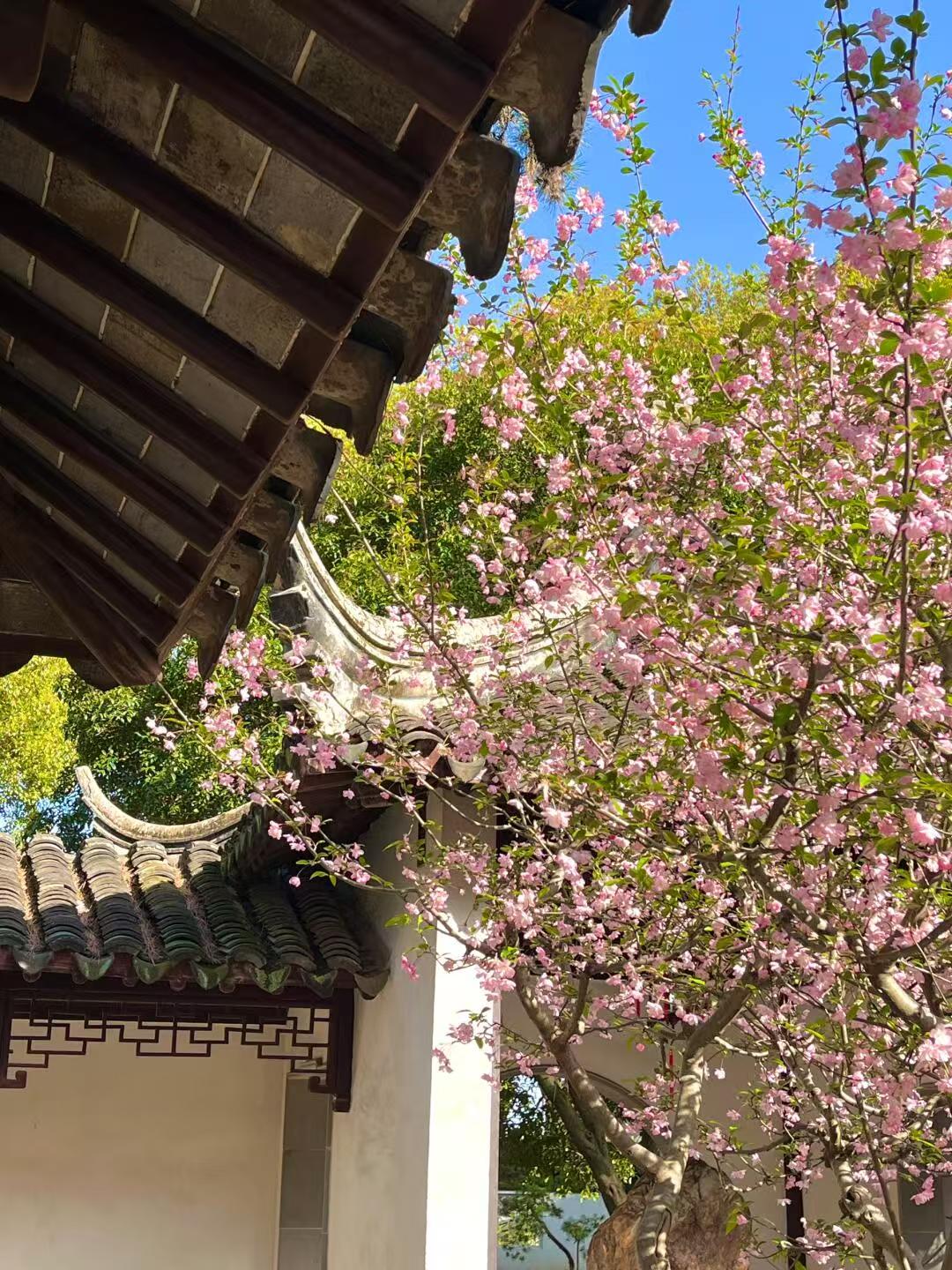 在你的一生中遇到什么人是不是桃花劫爱过的人最终是爱护你还是来