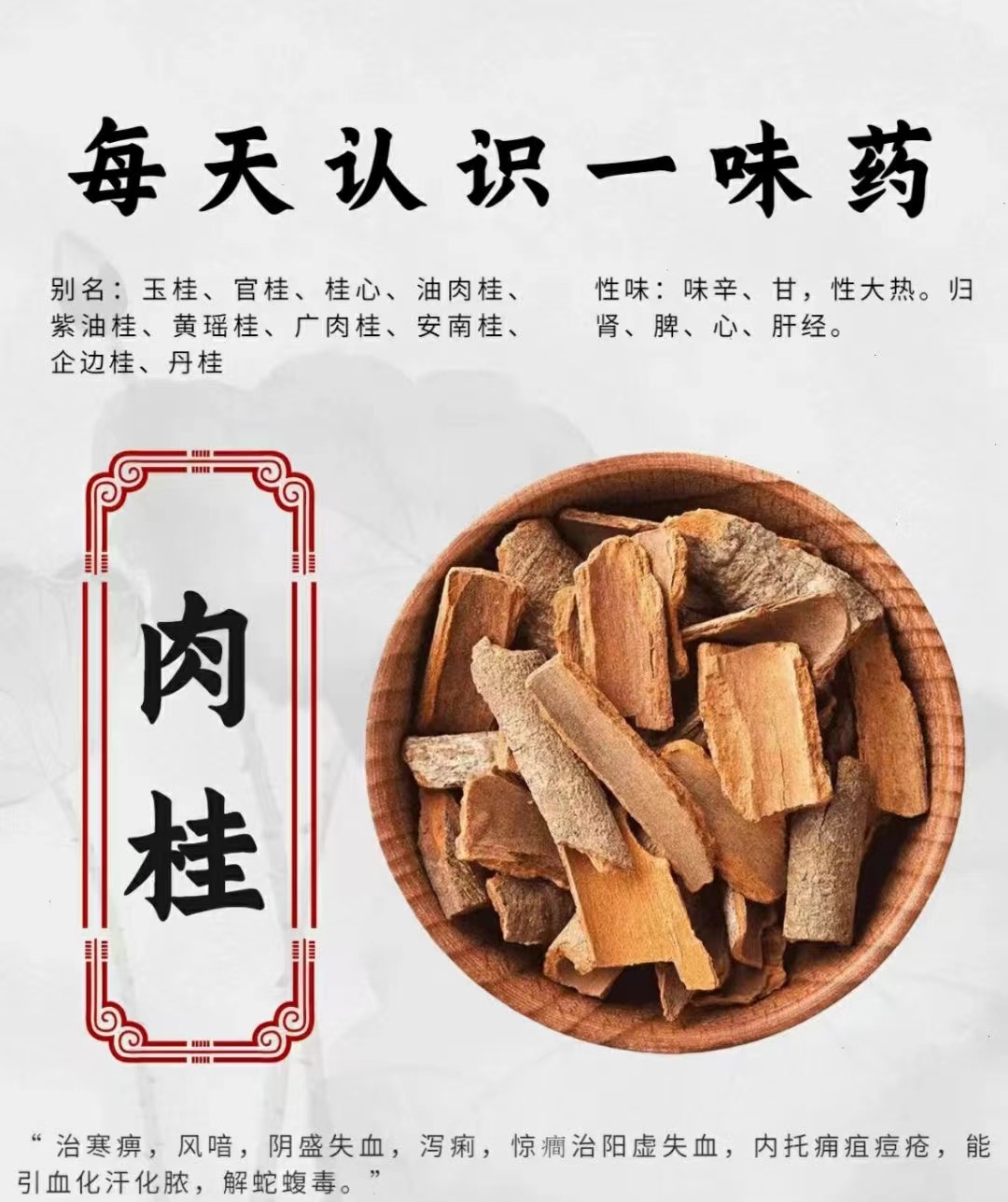 桂丁的功效与作用图片