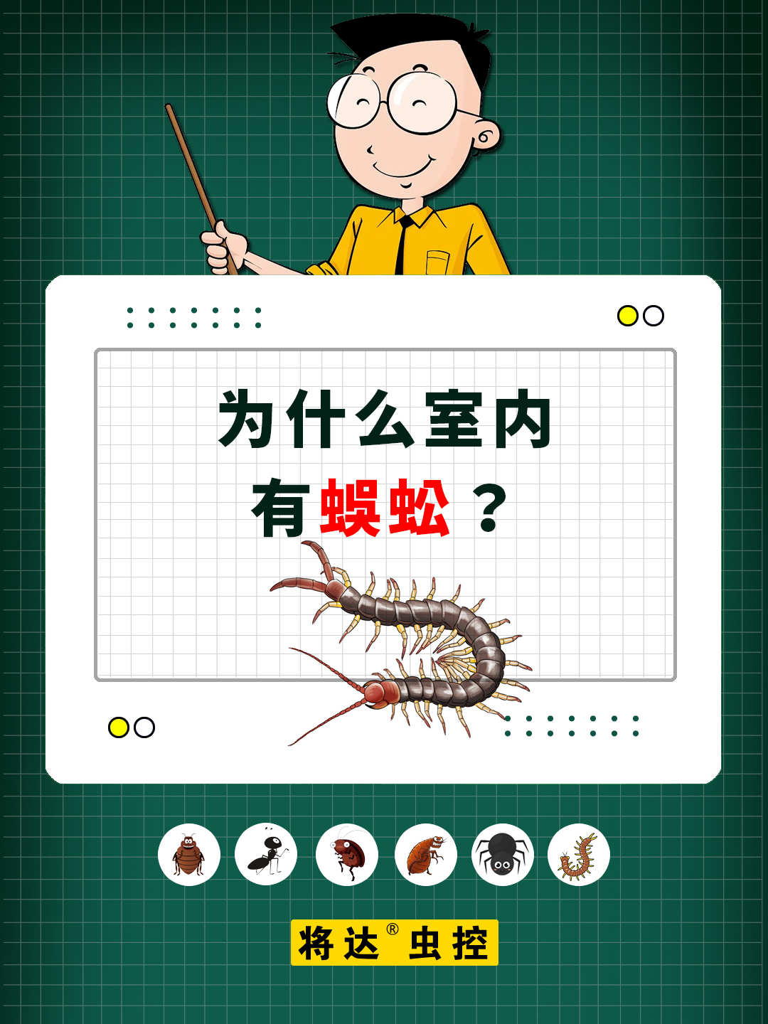 蜈蚣,这种多足的生物,通常被认为生活在户外环境,尤其是潮湿的草地