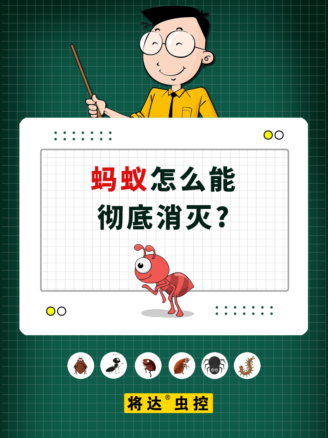 蚂蚁这种小昆虫虽然个体微小但它们的团队合作和组织能力却让人