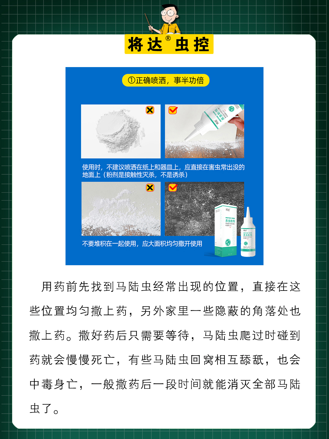 马陆虫也被称为千足虫是一种多足纲的节肢动物