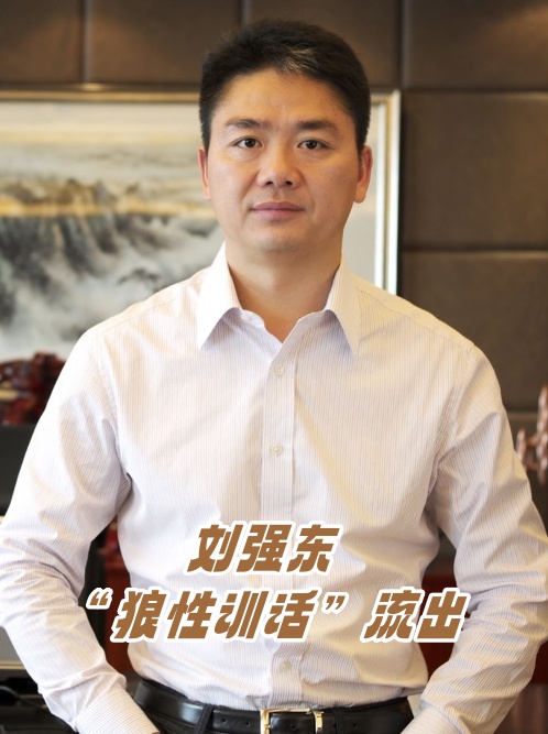 不想拼搏的不是我兄弟刘强东狼性训话流出