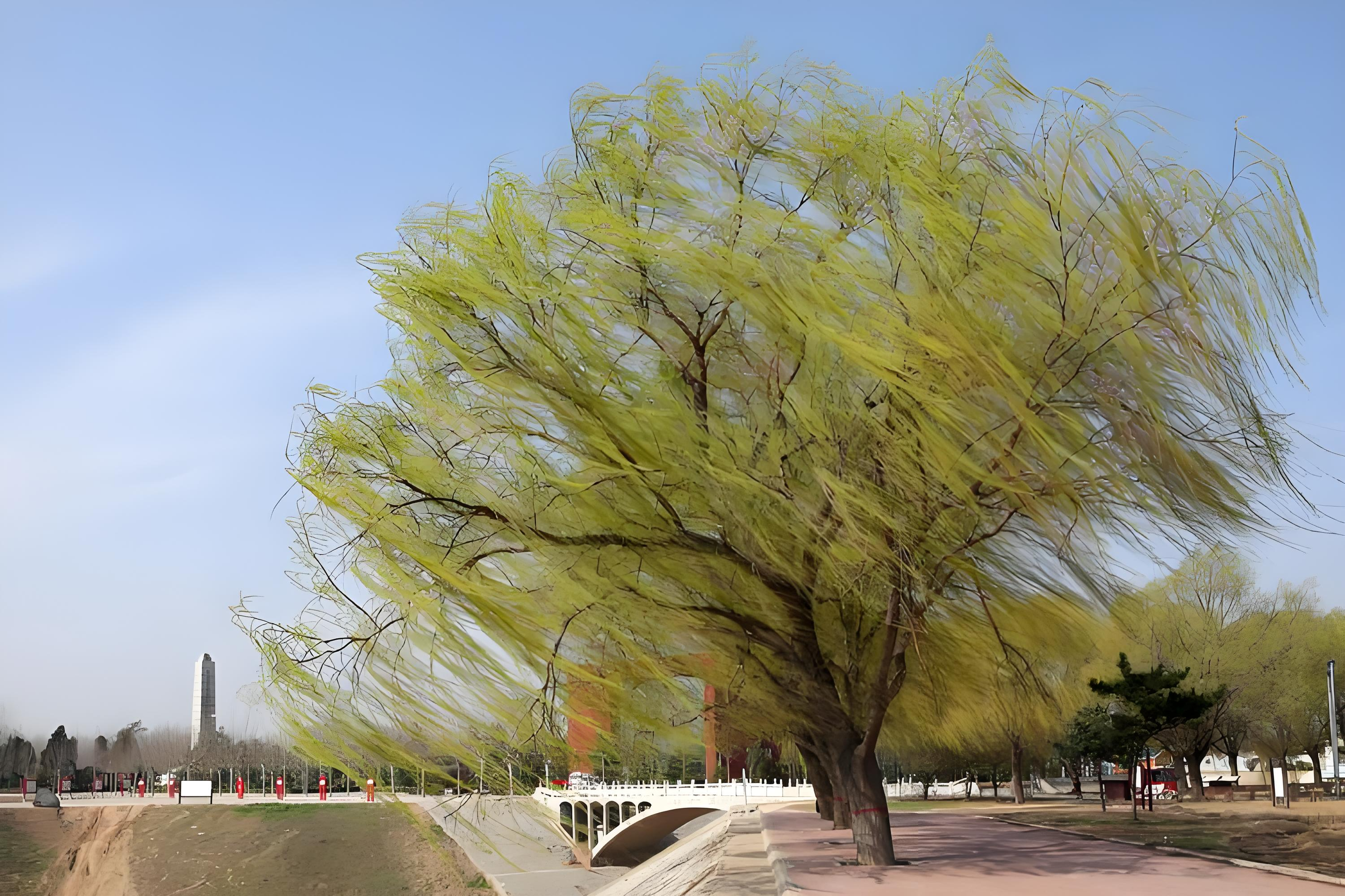 最近,华北地区的大风天气频繁登上热搜,中央气象台也多次发布大风预警