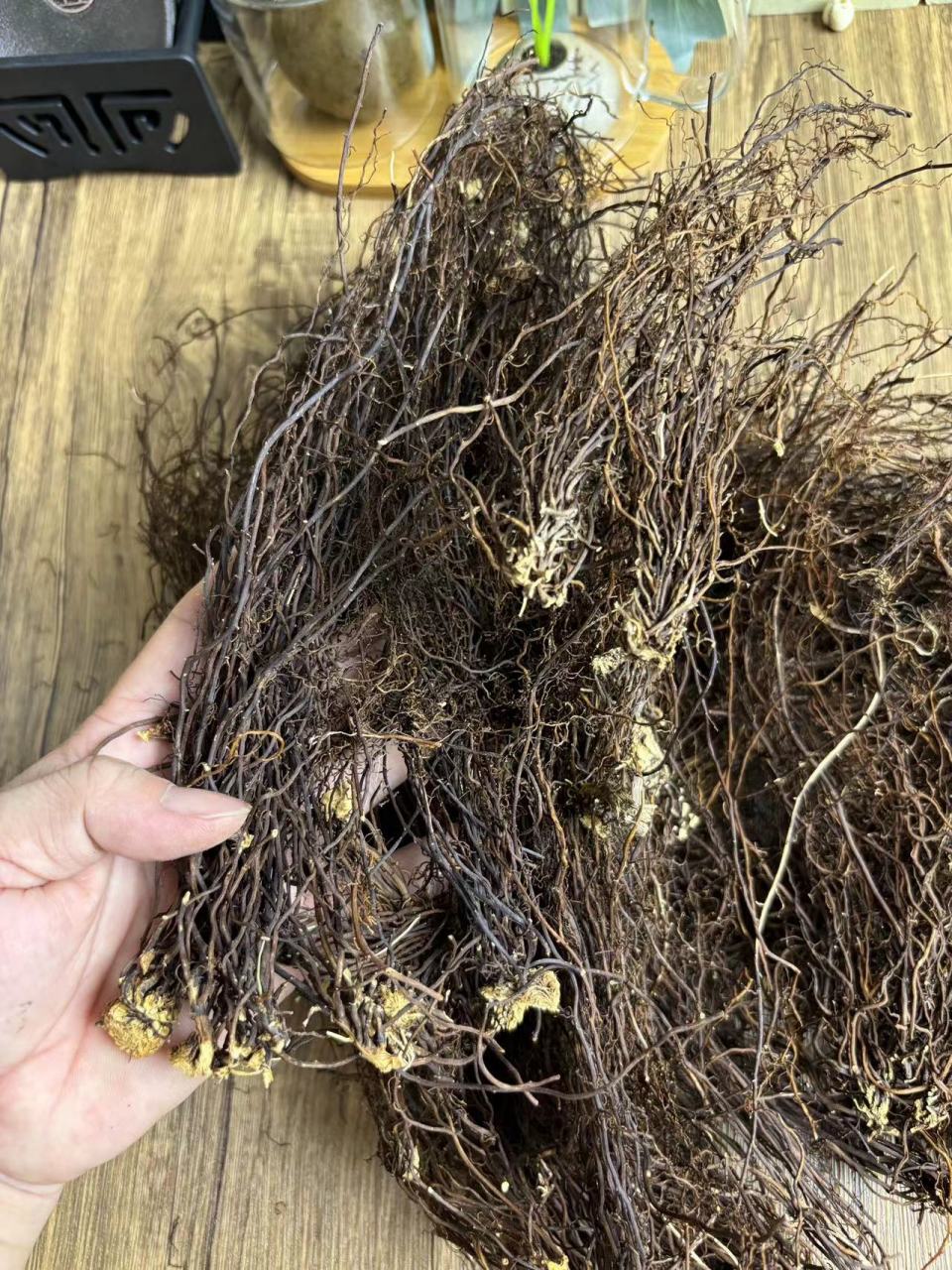 威灵仙,以他的"仙"字的名,但凡是带仙字的中草药,它的价格都不便宜,你