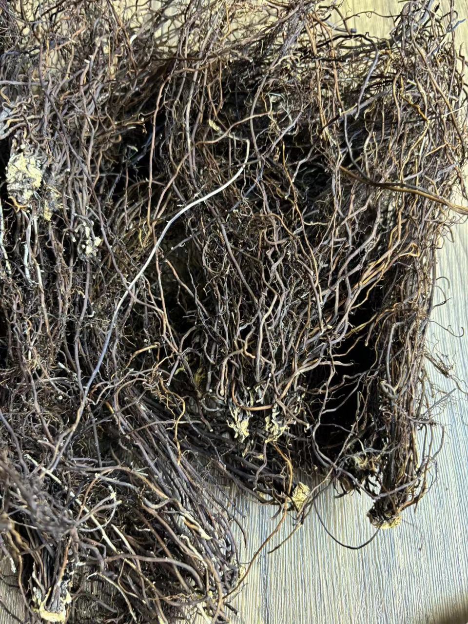 威灵仙,以他的"仙"字的名,但凡是带仙字的中草药,它的价格都不便宜,你