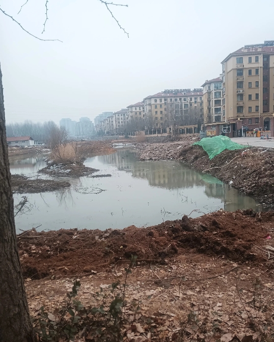 老邻居家赵大爷的房子被征用修路,马上就要拆迁了,整栋房子补偿款是