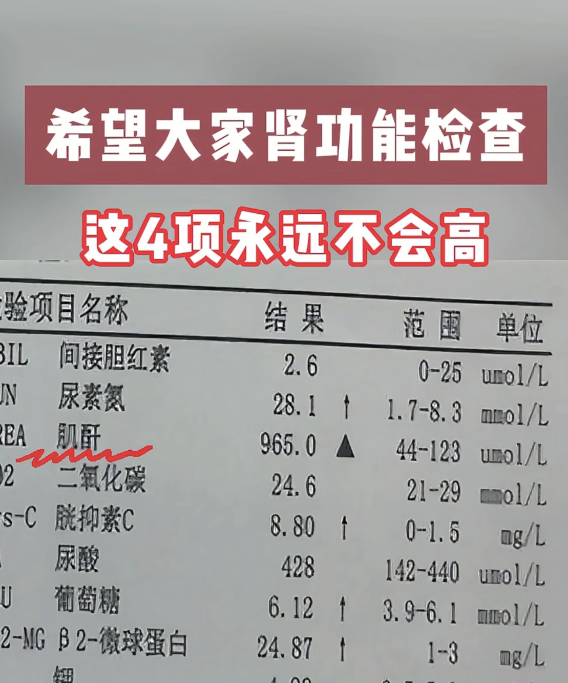 肾功能检查