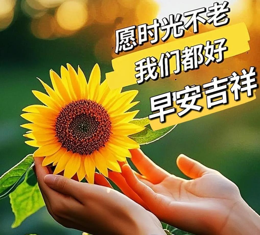 小李发了段早安诗,玫瑰表情加微风,祝福顺风顺水顺财神,句句吉祥,句句