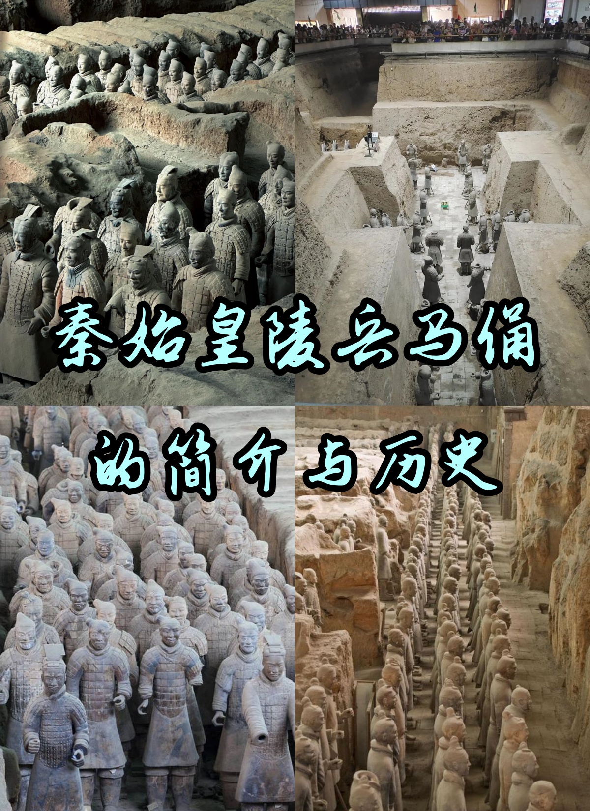 秦始皇兵马俑在什么地方为什么在线