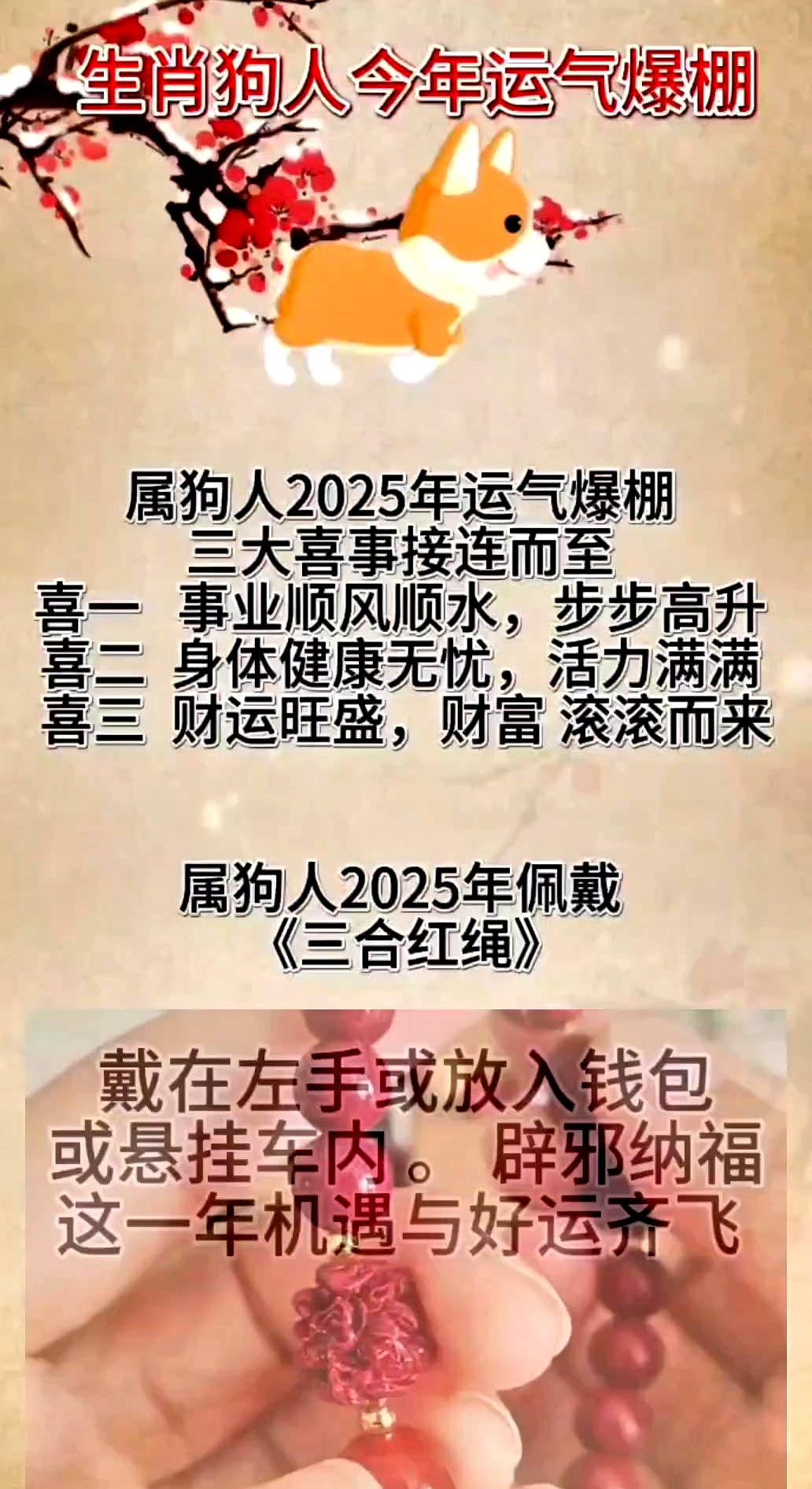 生肖属狗每日运势如何(生肖狗每日运程)